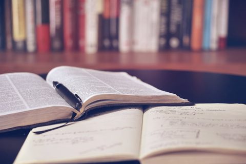 新加坡EP所在公司的公司类型变更流程（MOM要求）