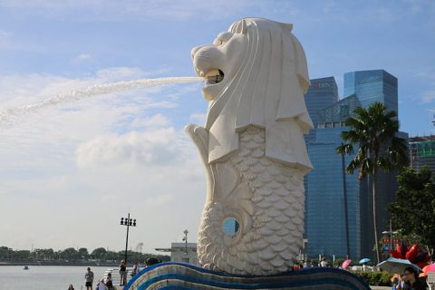新加坡EP申请，被MOM要求补资料怎么办？