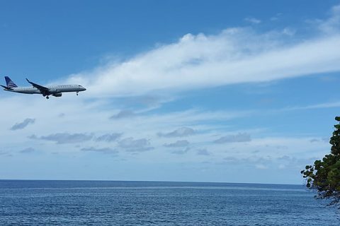 新加坡公司注册流程对中国客户友好吗？全中文服务详解