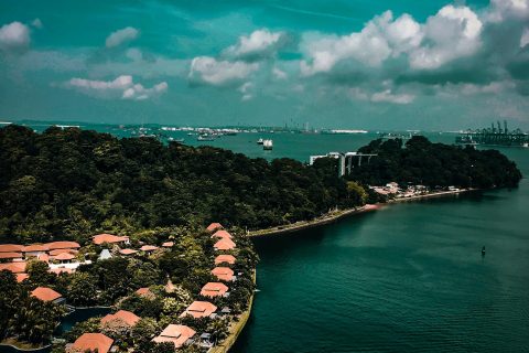 新加坡自雇EP续签条件与成功率