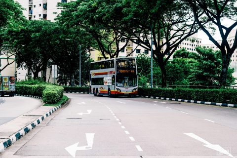 新加坡科技创业公司股权设计平衡激励与控制权的艺术