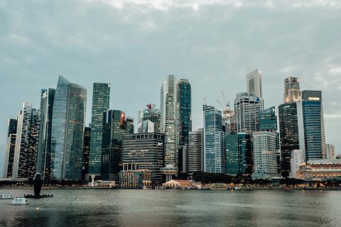 新加坡公司注册流程及费用详解